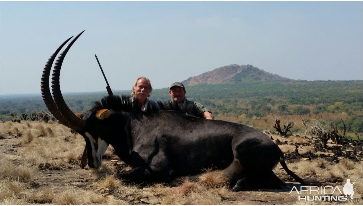 Hunt Mozambique Sable Antelope