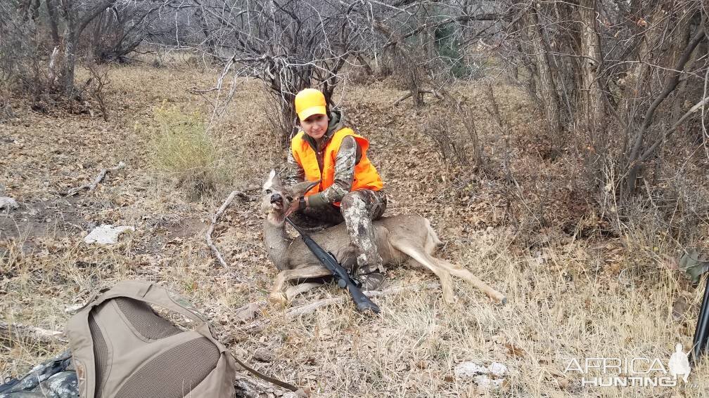 Hunt Mule Deer Colorado US