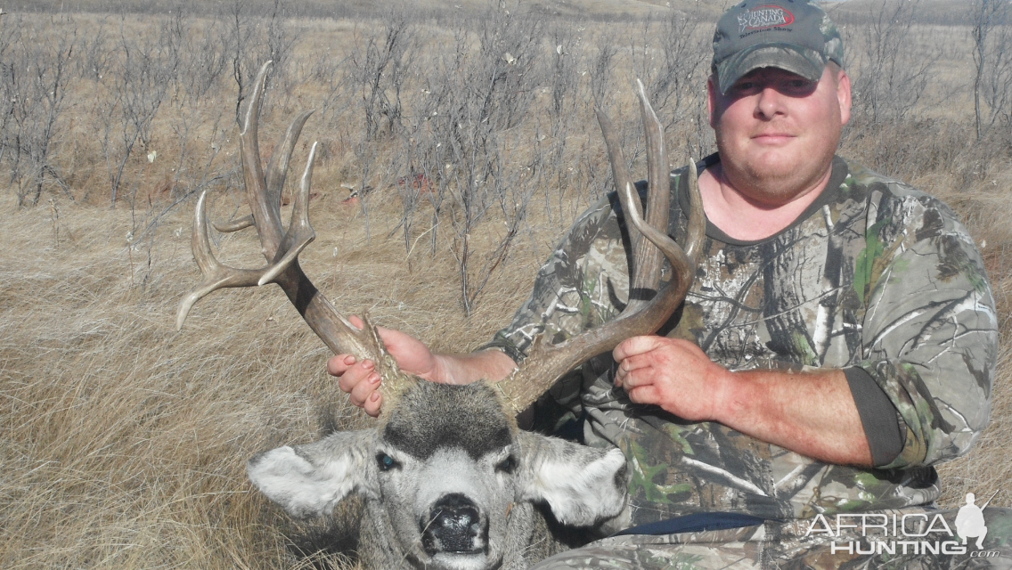 Hunt Mule Deer in Canada