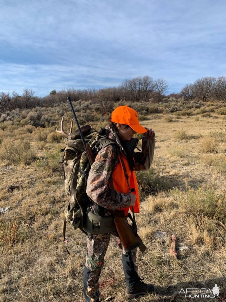 Hunt Mule Deer in Colorado USA