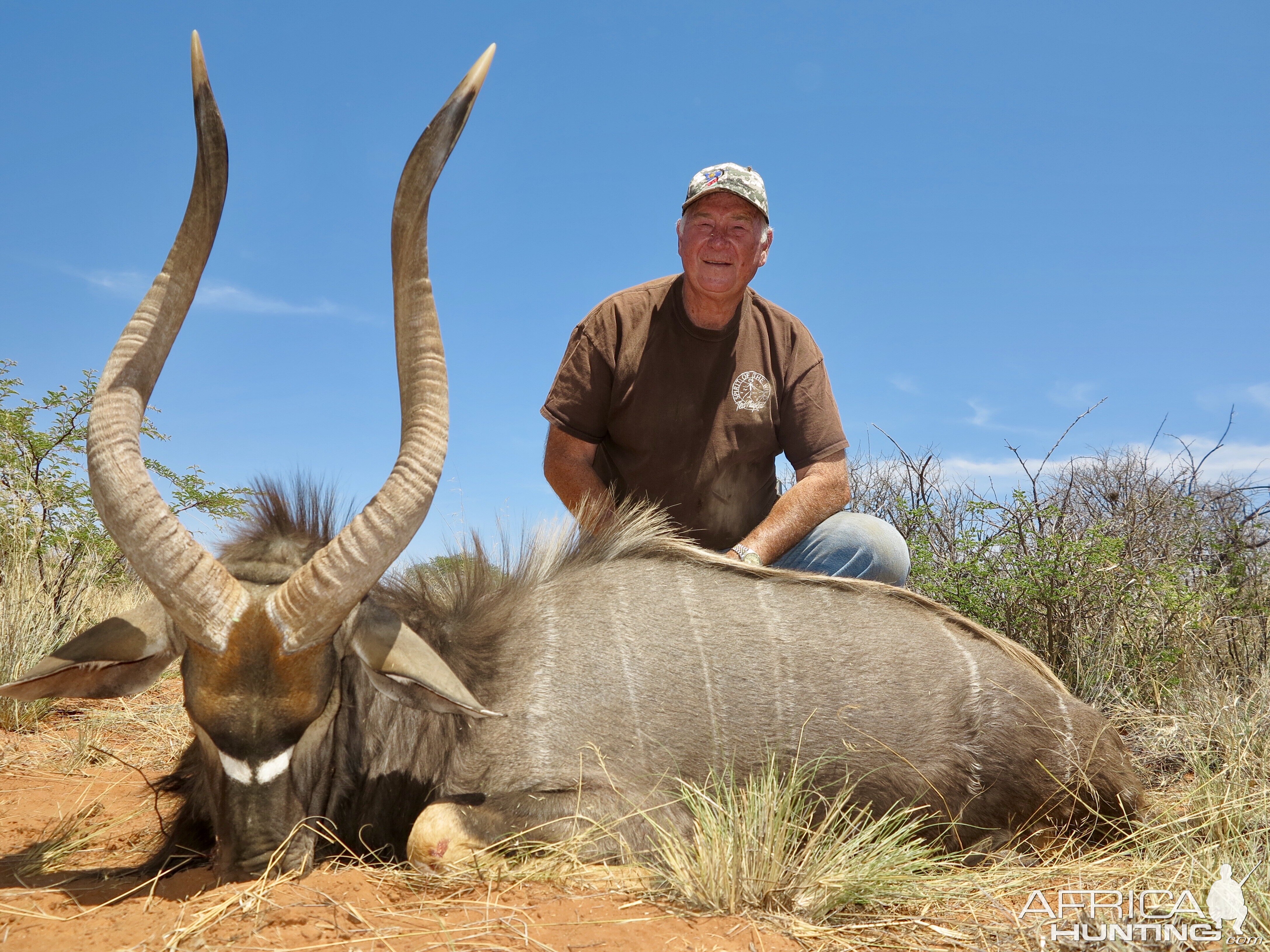 Hunt Nyala in Namibia