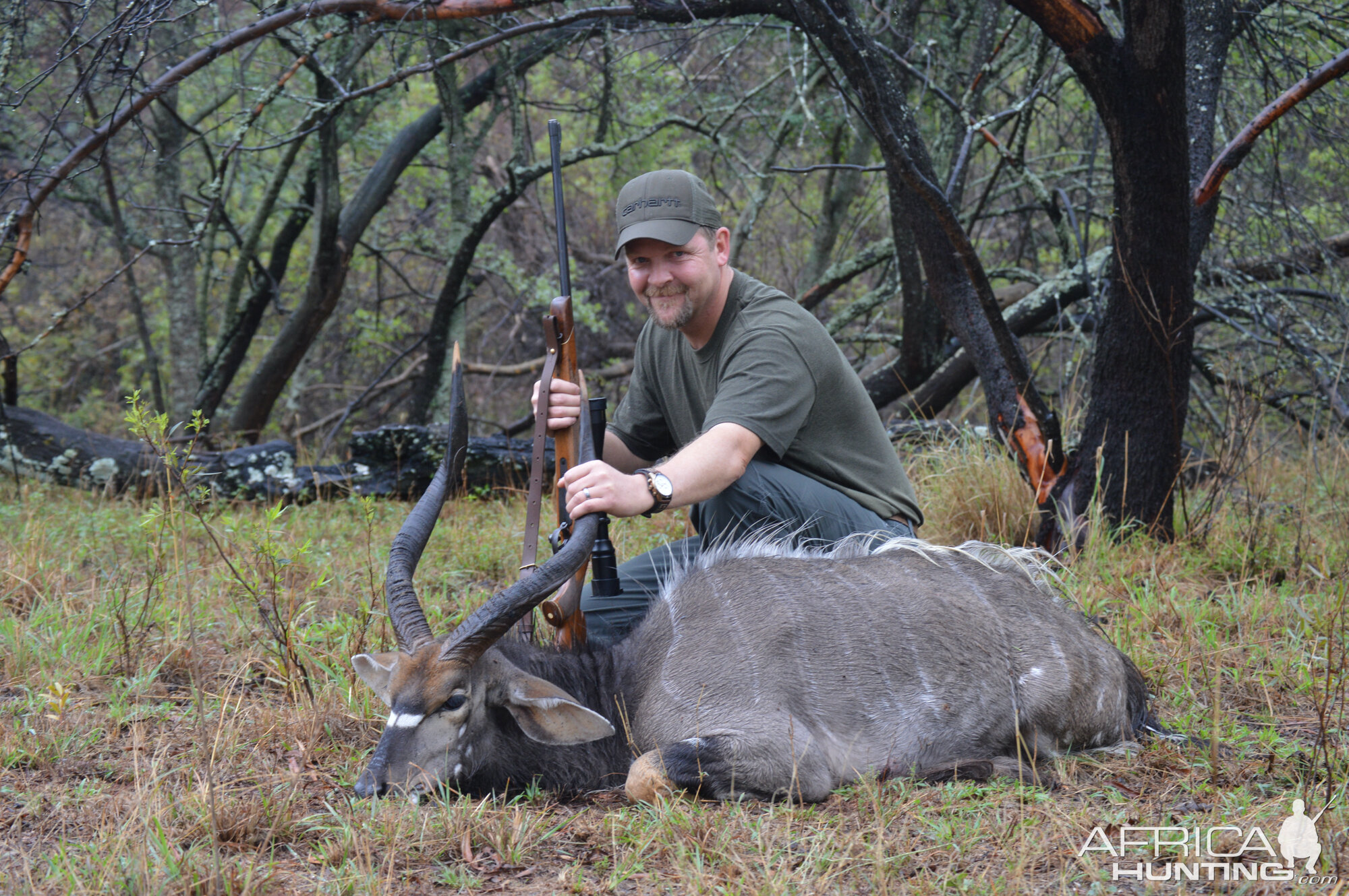 Hunt Nyala in South Africa