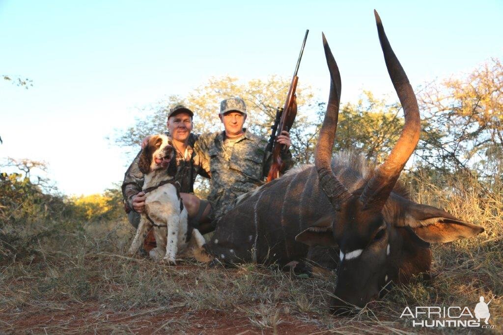 Hunt Nyala South Africa