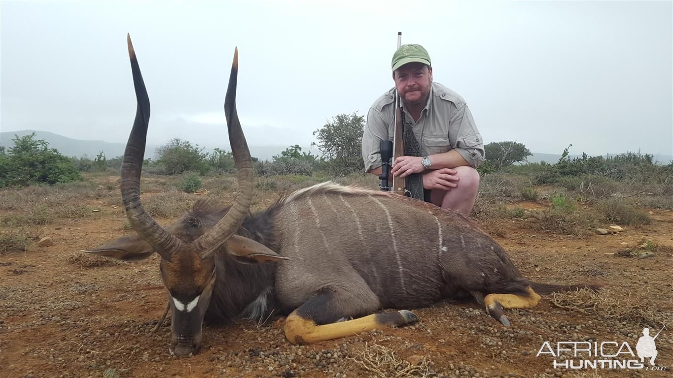 Hunt Nyala South Africa