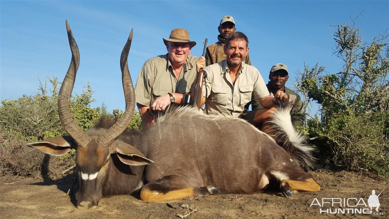 Hunt Nyala South Africa