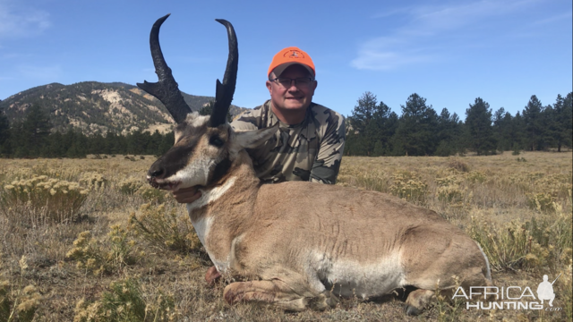 Hunt Pronghorn in Colorado USA