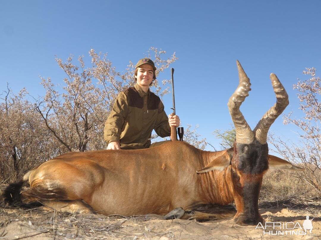 Hunt Red Hartebeest in Namibia