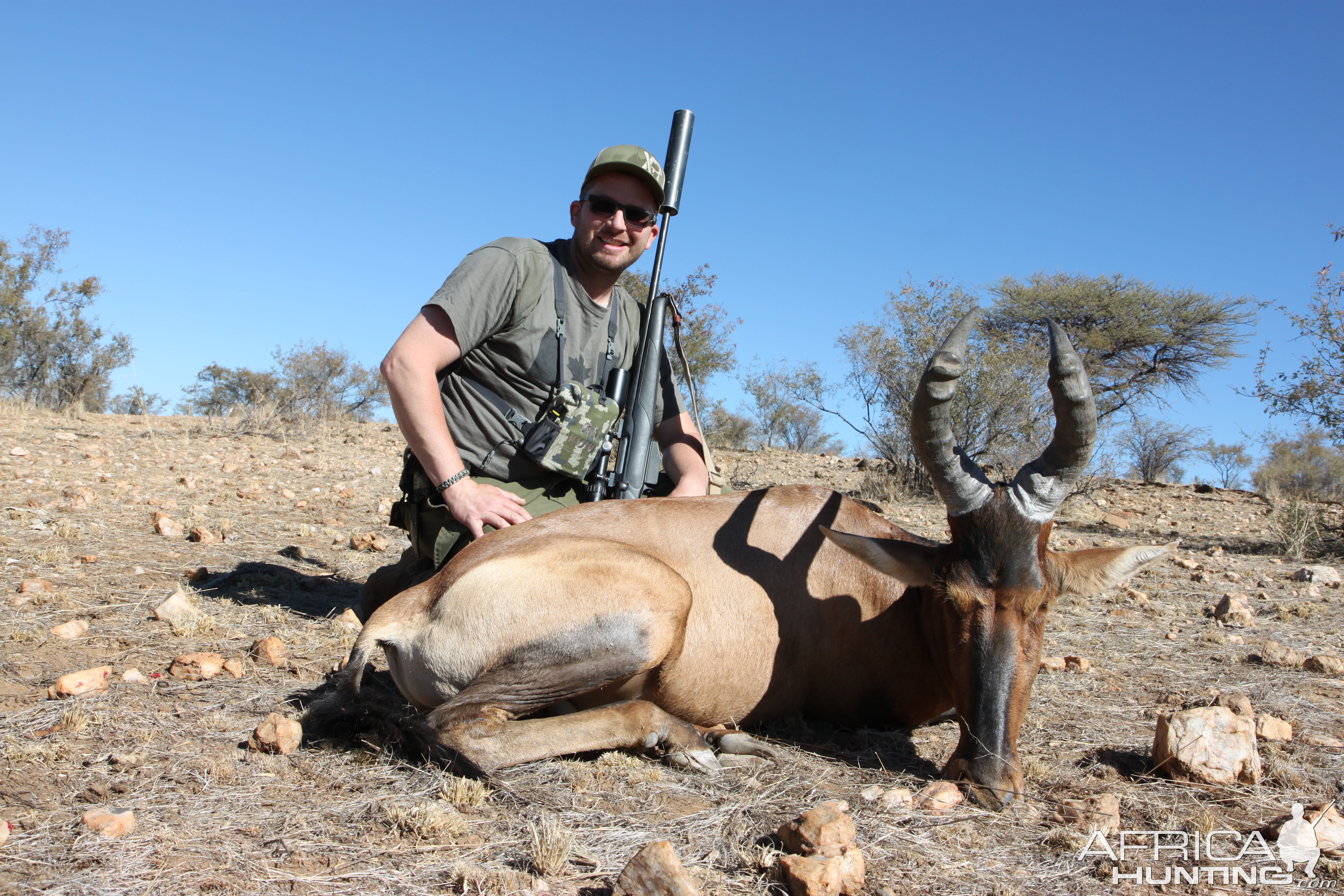 Hunt Red Hartebeest in Namibia