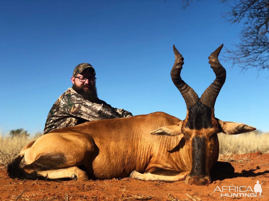 Hunt Red Hartebeest in South Africa