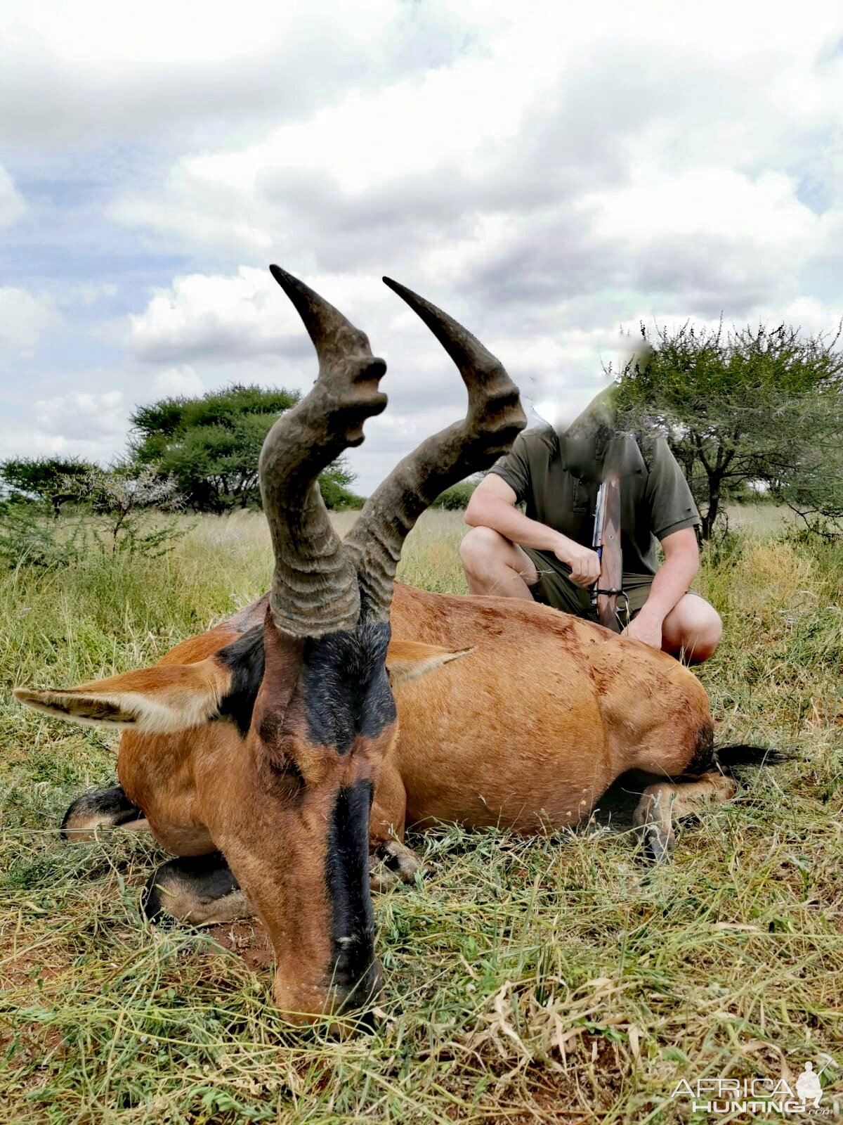 Hunt Red Hartebeest in South Africa