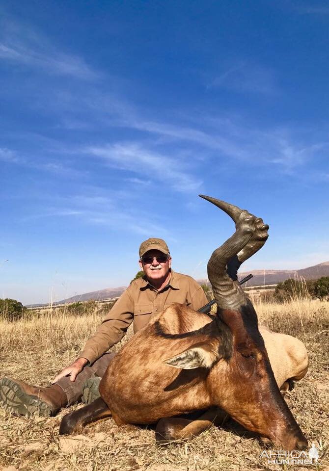 Hunt Red Hartebeest in South Africa