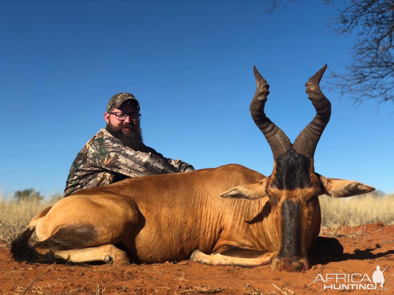 Hunt Red Hartebeest in South Africa