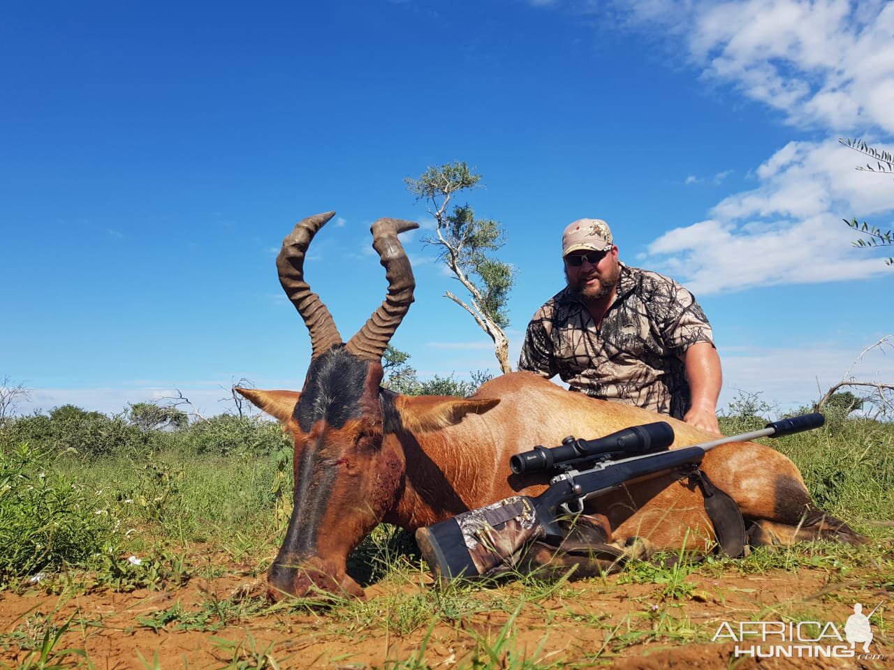 Hunt Red Hartebeest in South Africa