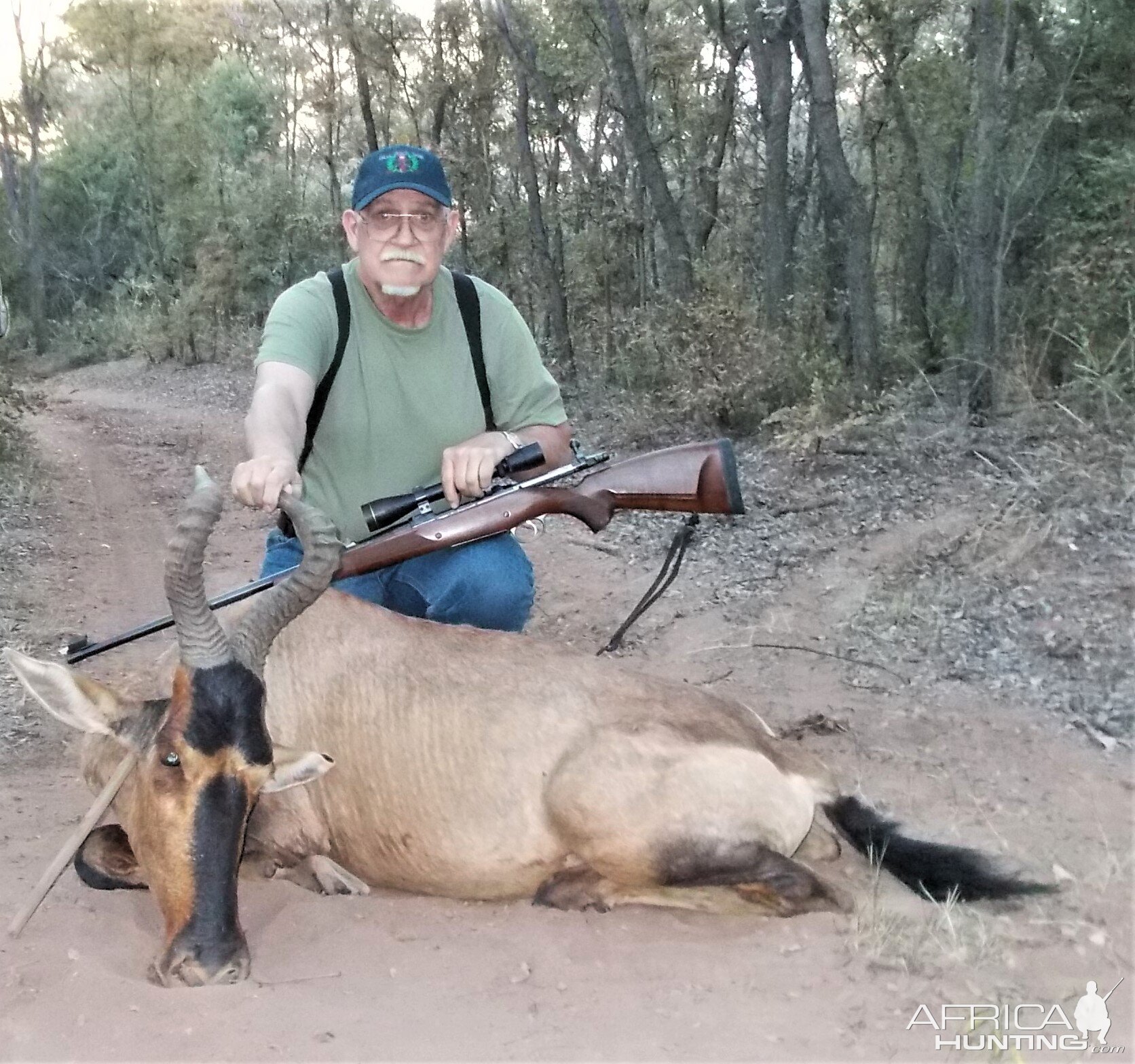 Hunt Red Hartebeest in South Africa