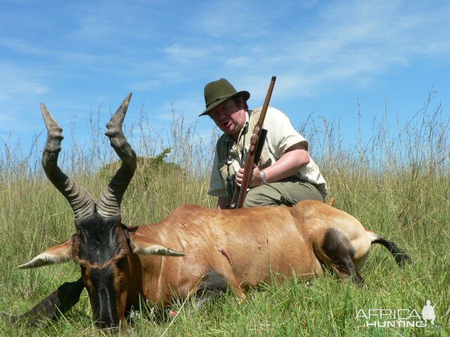 Hunt Red Hartebeest