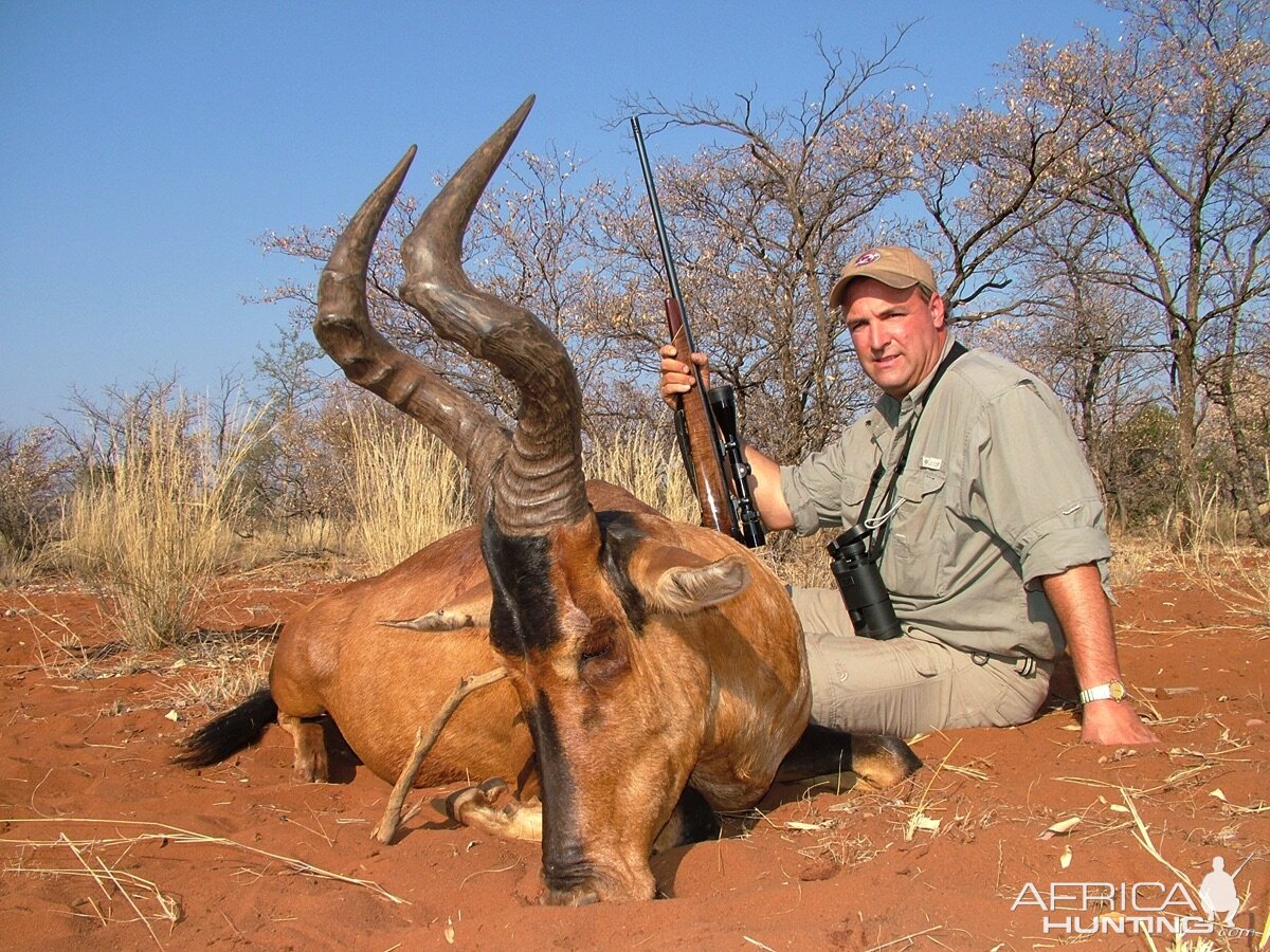 Hunt Red Hartebeest