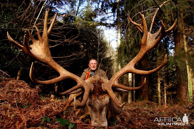 Hunt Red Stag France