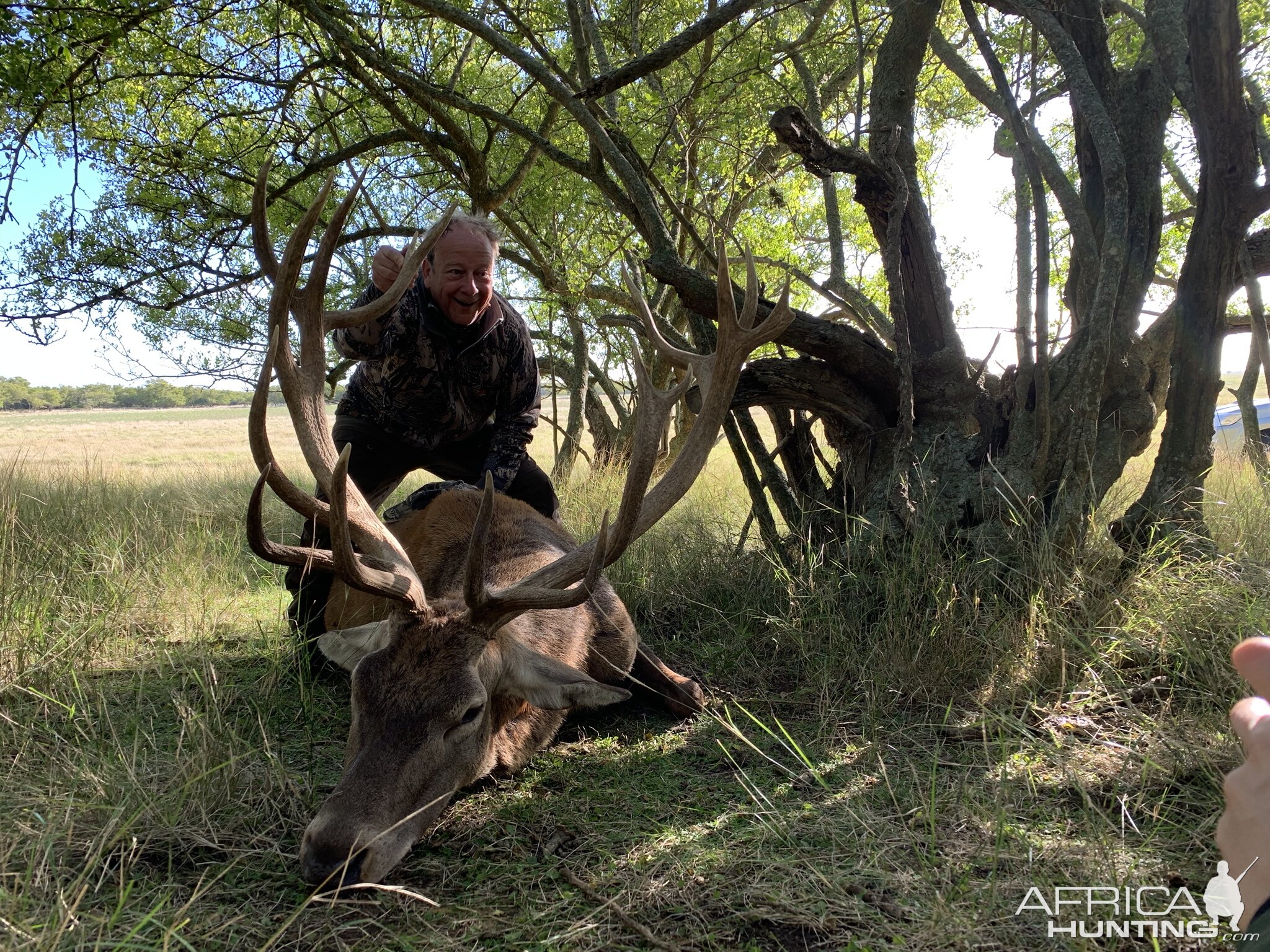 Hunt Red Stag in Argentina