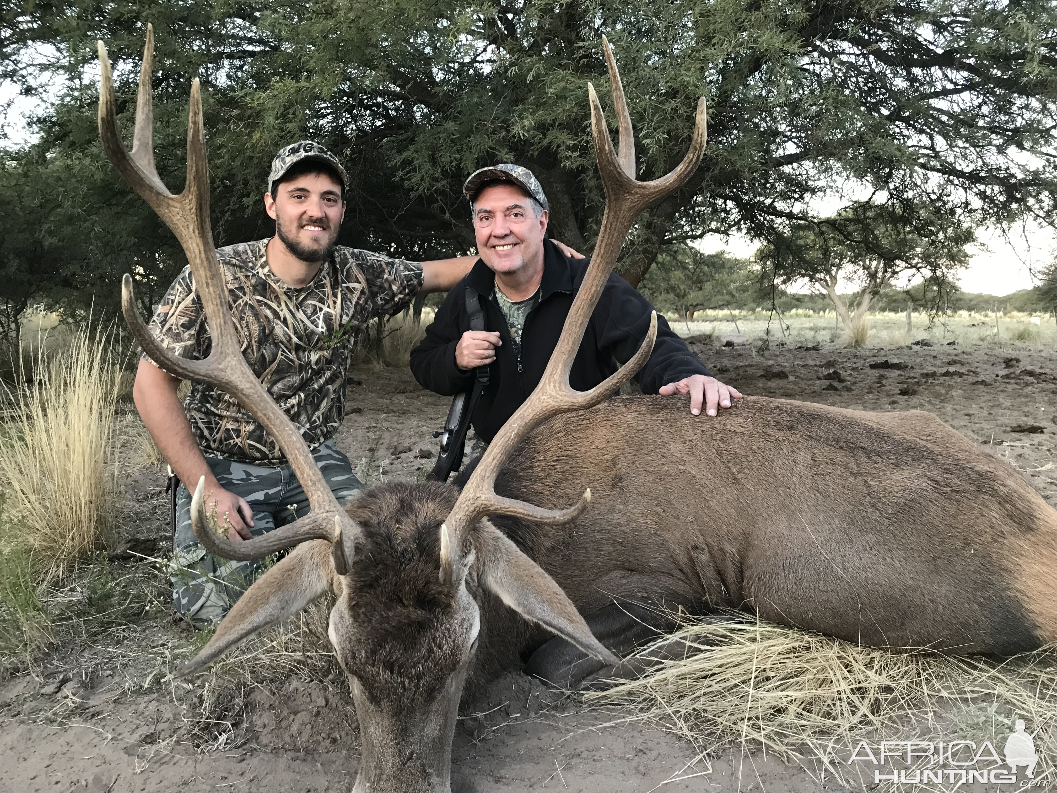 Hunt Red Stag in Argentina