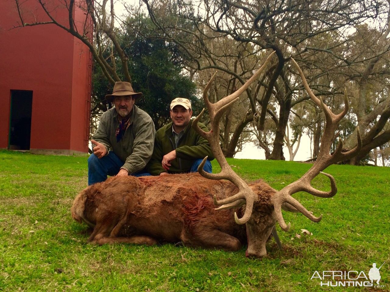 Hunt Red Stag in Argentina