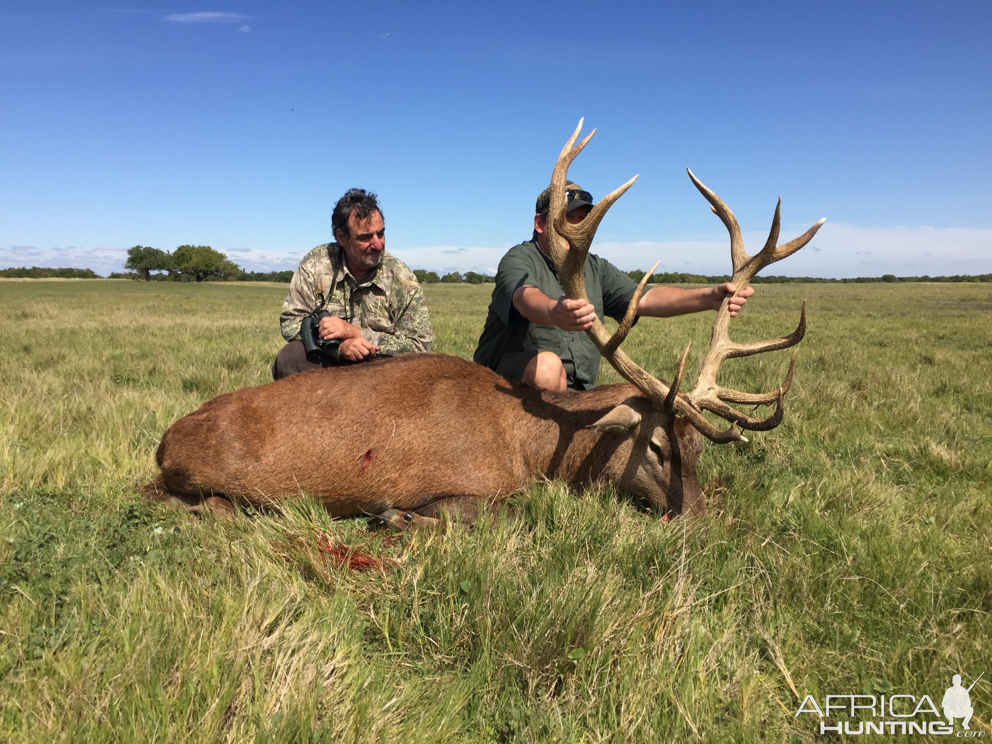 Hunt Red Stag in Argentina