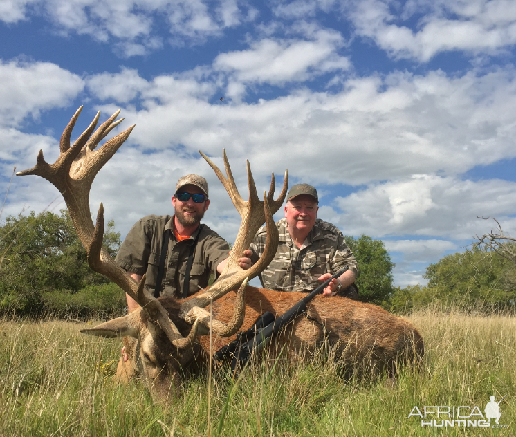 Hunt Red Stag in Argentina