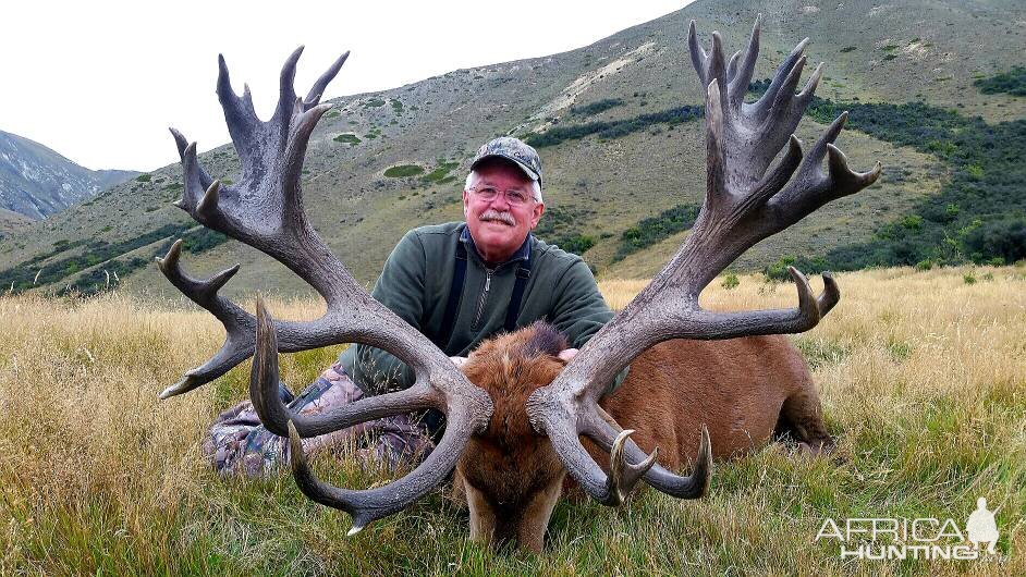 Hunt Red Stag in New Zealand