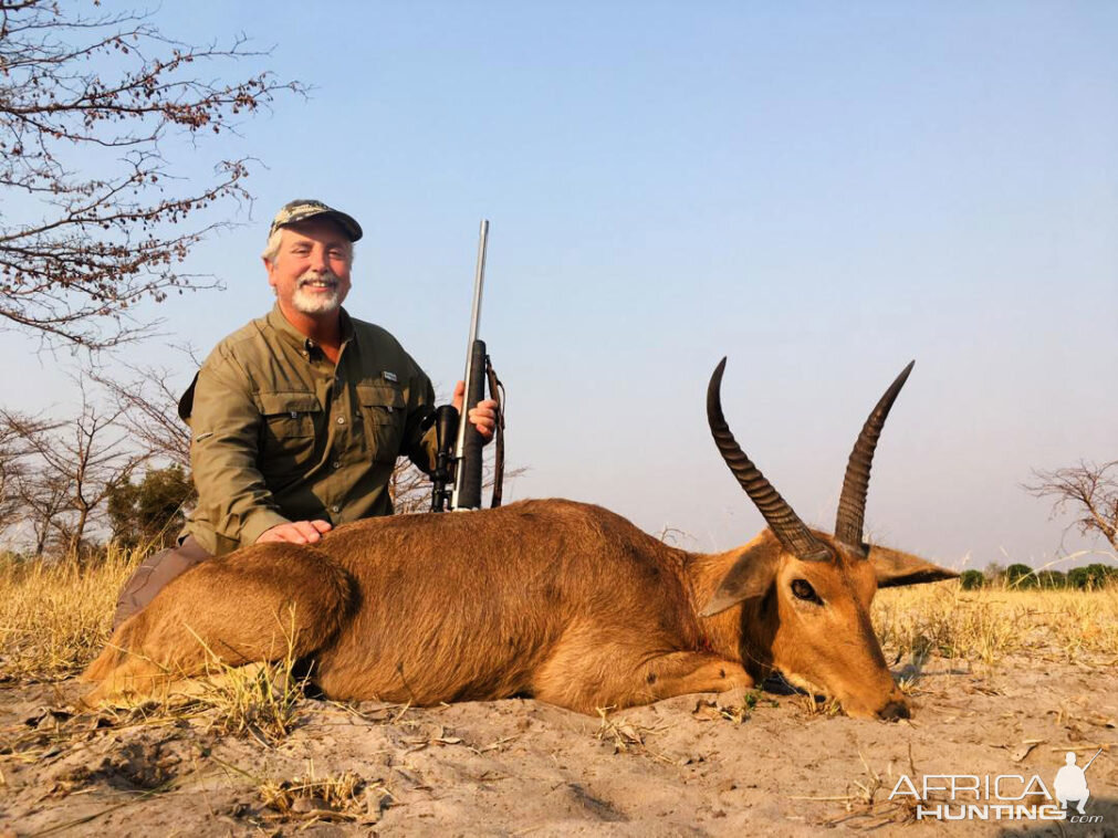 Hunt Reedbuck in Namibia