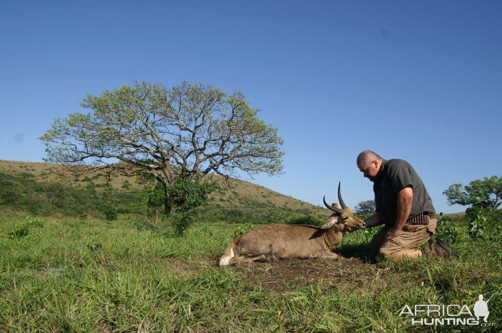 Hunt Reedbuck in South Africa