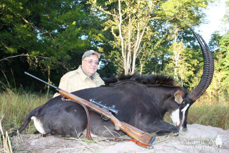 Hunt Sable Antelope in Mozambique