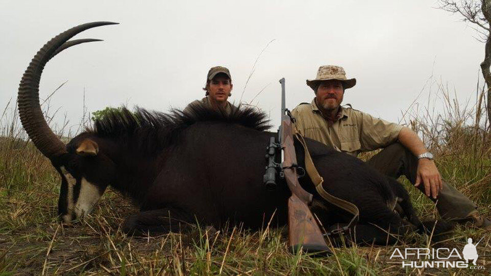 Hunt Sable Antelope in Mozambique