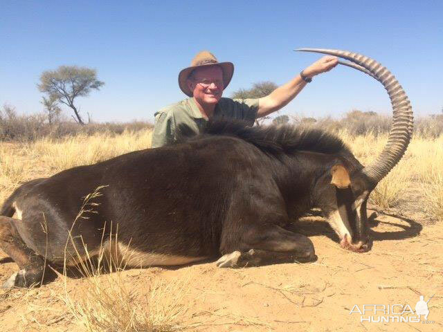 Hunt Sable Antelope in Namibia