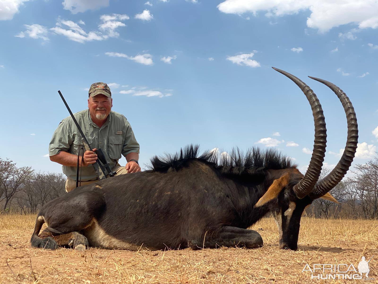 Hunt Sable Antelope in South Africa