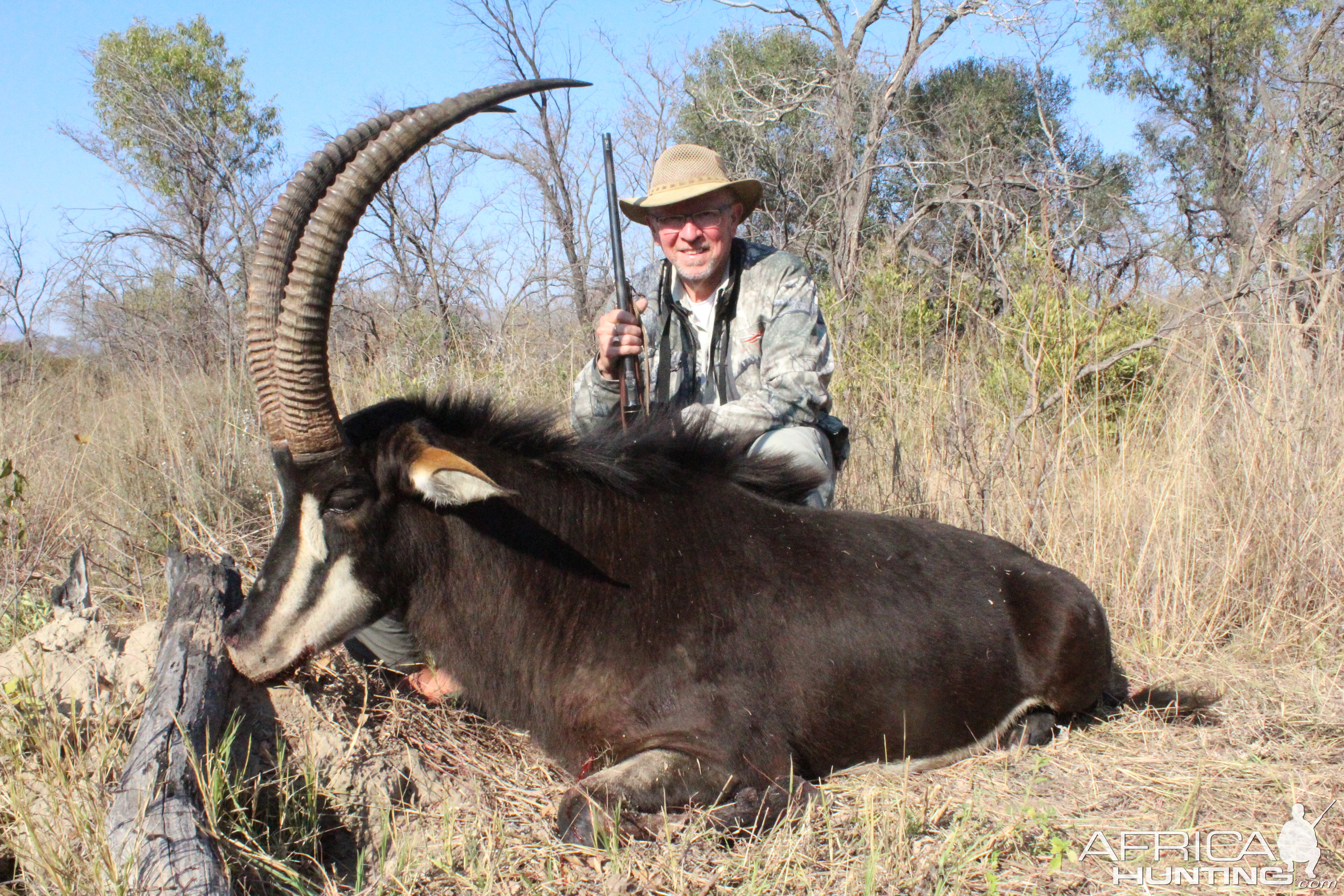 Hunt Sable Antelope in South Africa