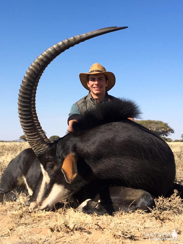 Hunt Sable Antelope South Africa