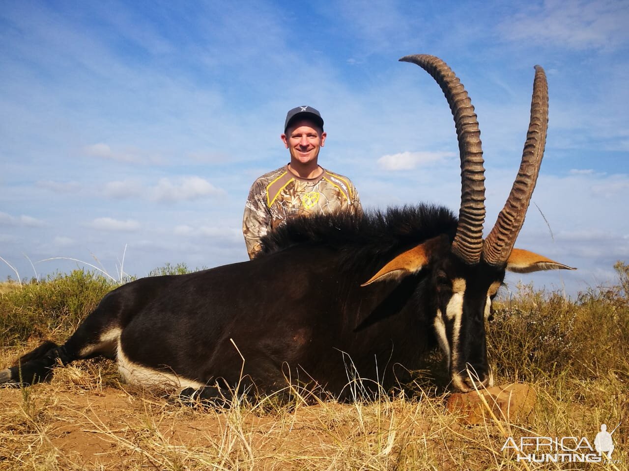 Hunt Sable Antelope South Africa