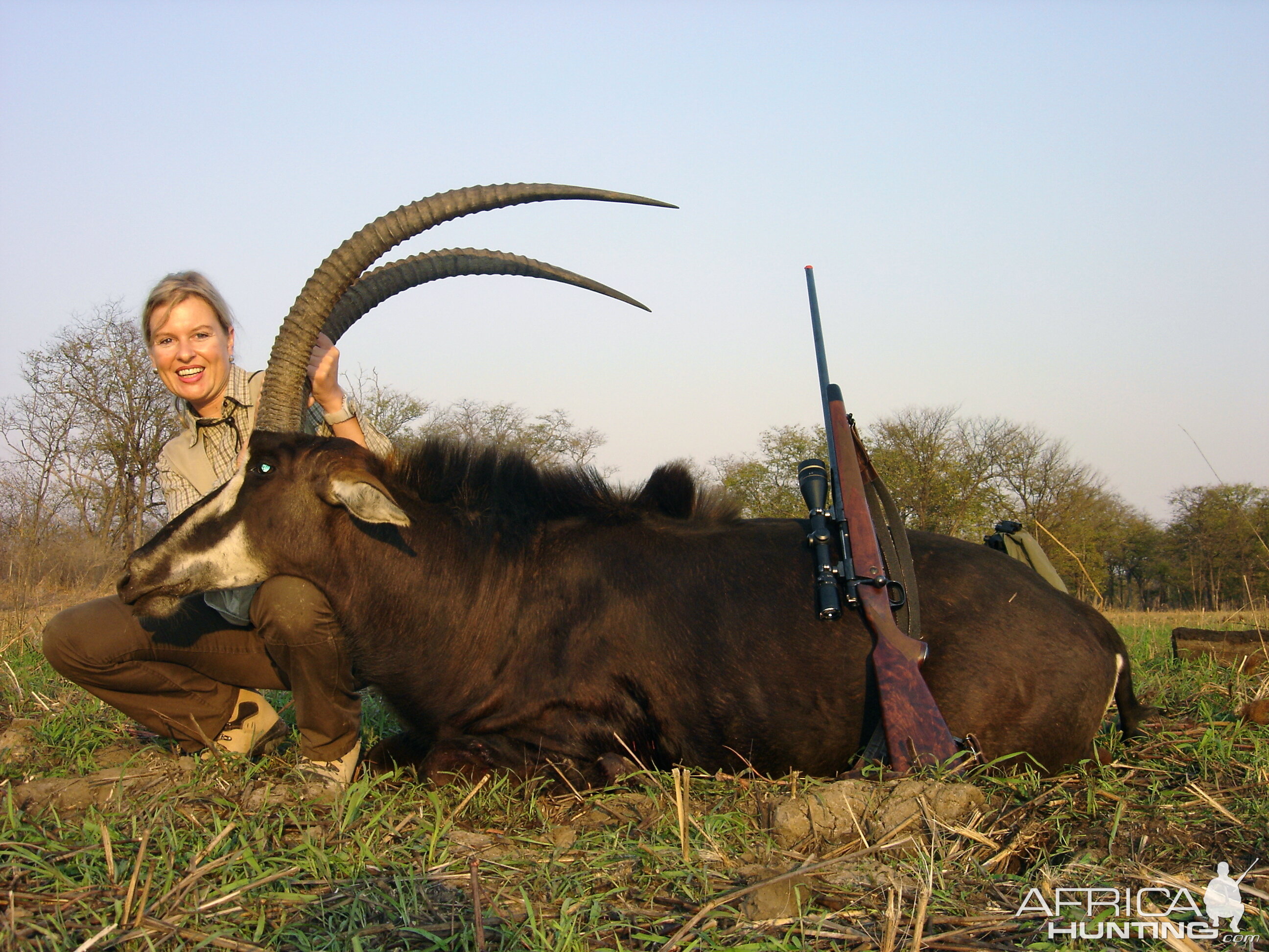 Hunt Sable Antelope Zambeze Mozambique