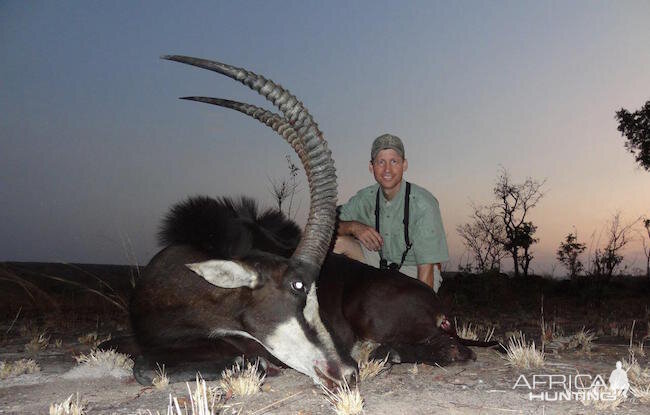 Hunt Sable Antelope Zimbabwe