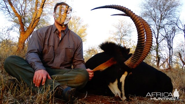 Hunt Sable Antelope