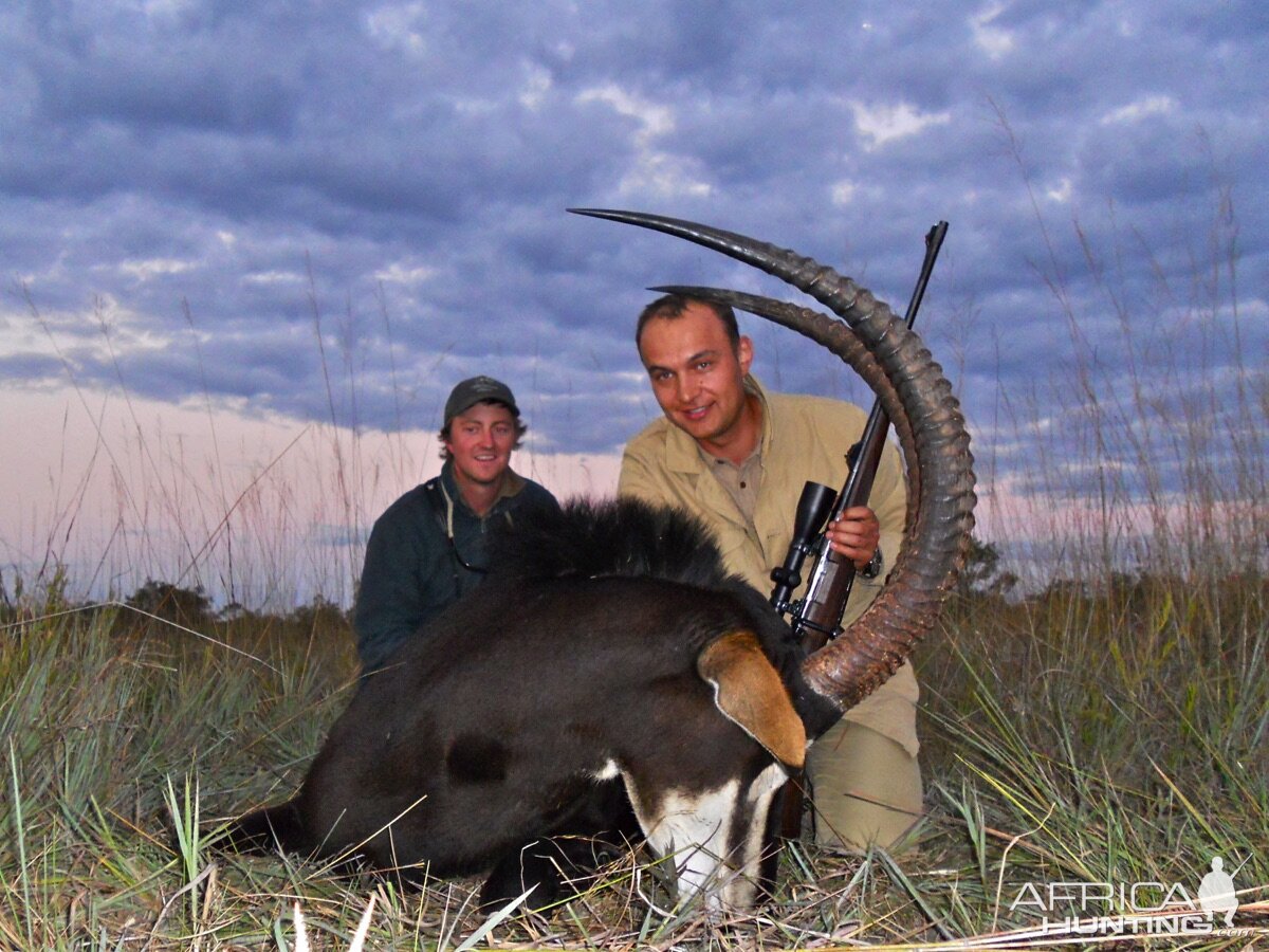 Hunt Sable Antelope