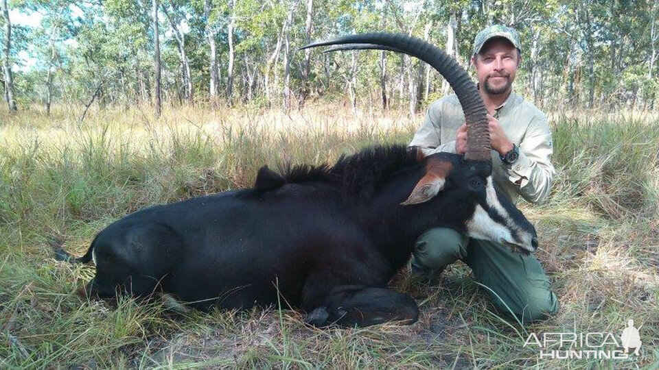 Hunt Sable in Mozambique