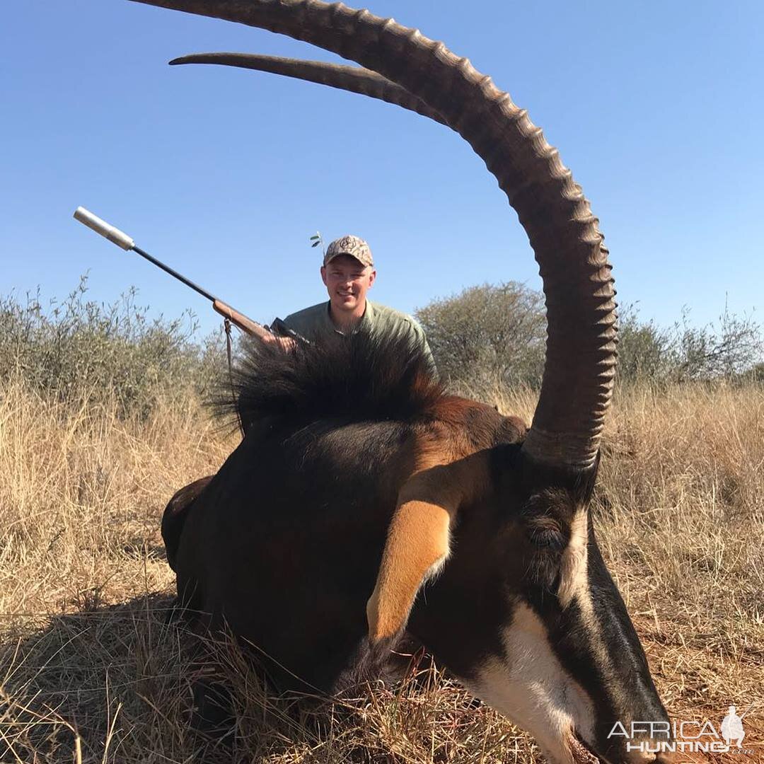 Hunt Sable in South Africa