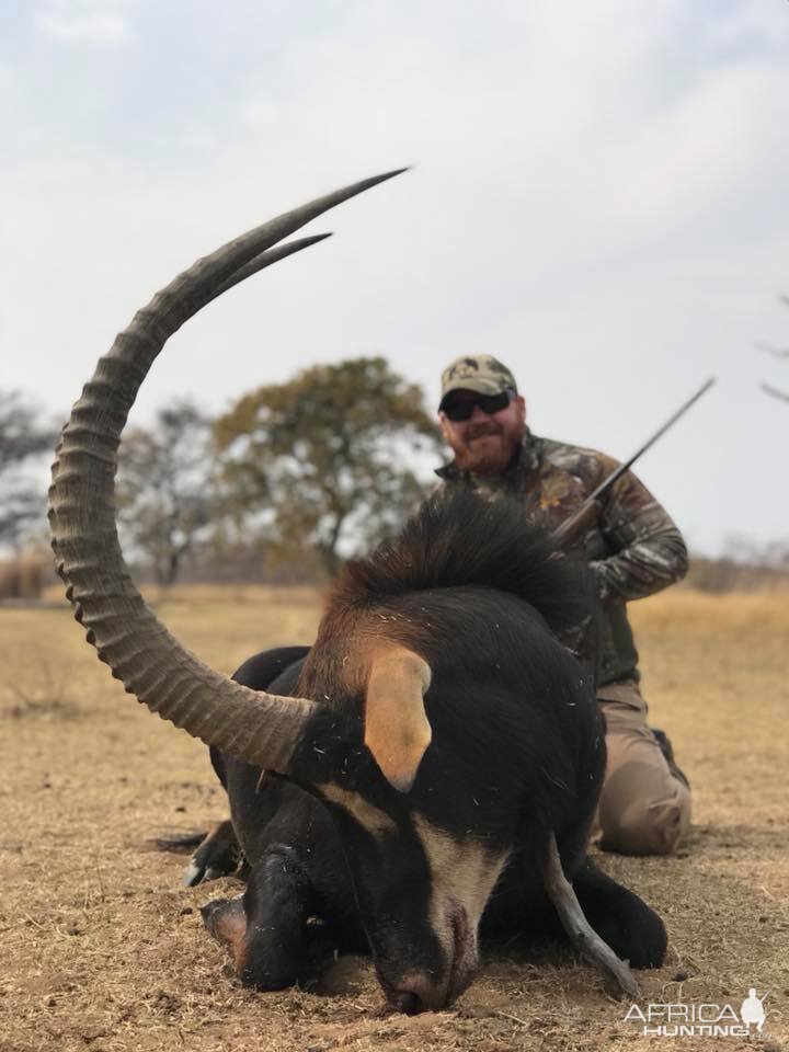 Hunt Sable South Africa