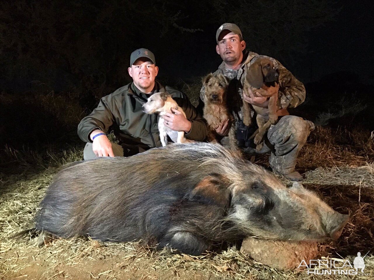 Hunt South Africa Bushpig