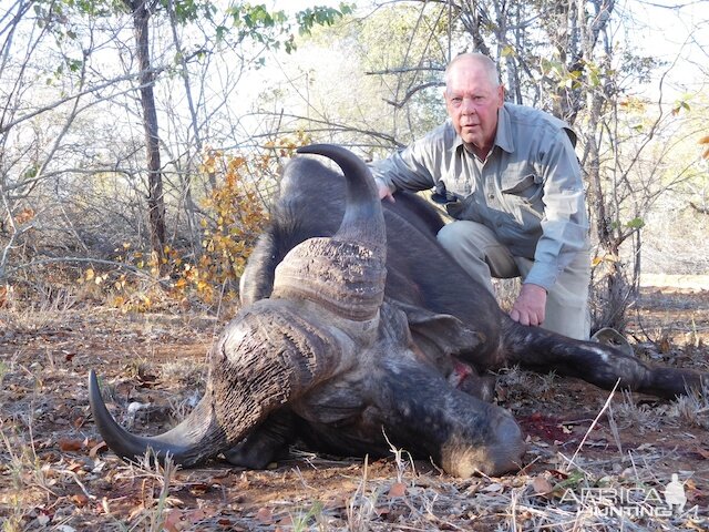 Hunt South Africa Cape Buffalo