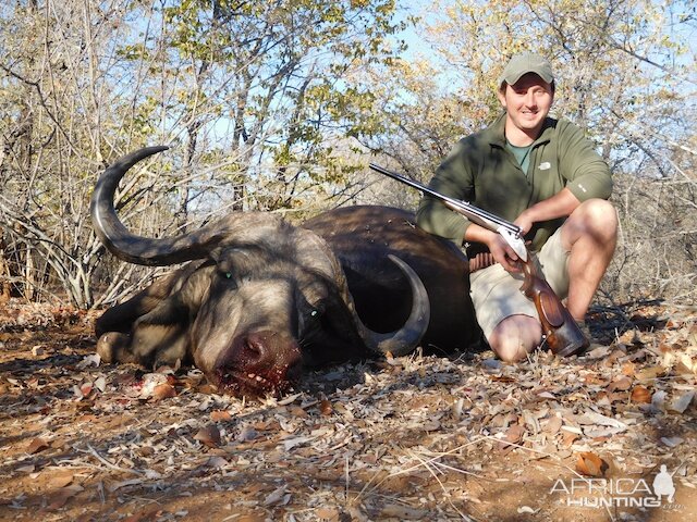 Hunt South Africa Cape Buffalo