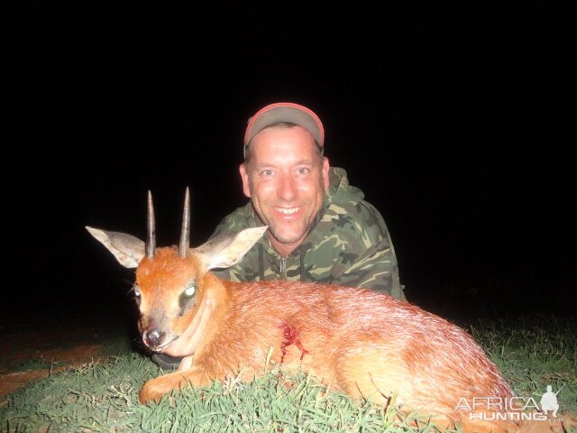 Hunt South Africa Cape Grysbok