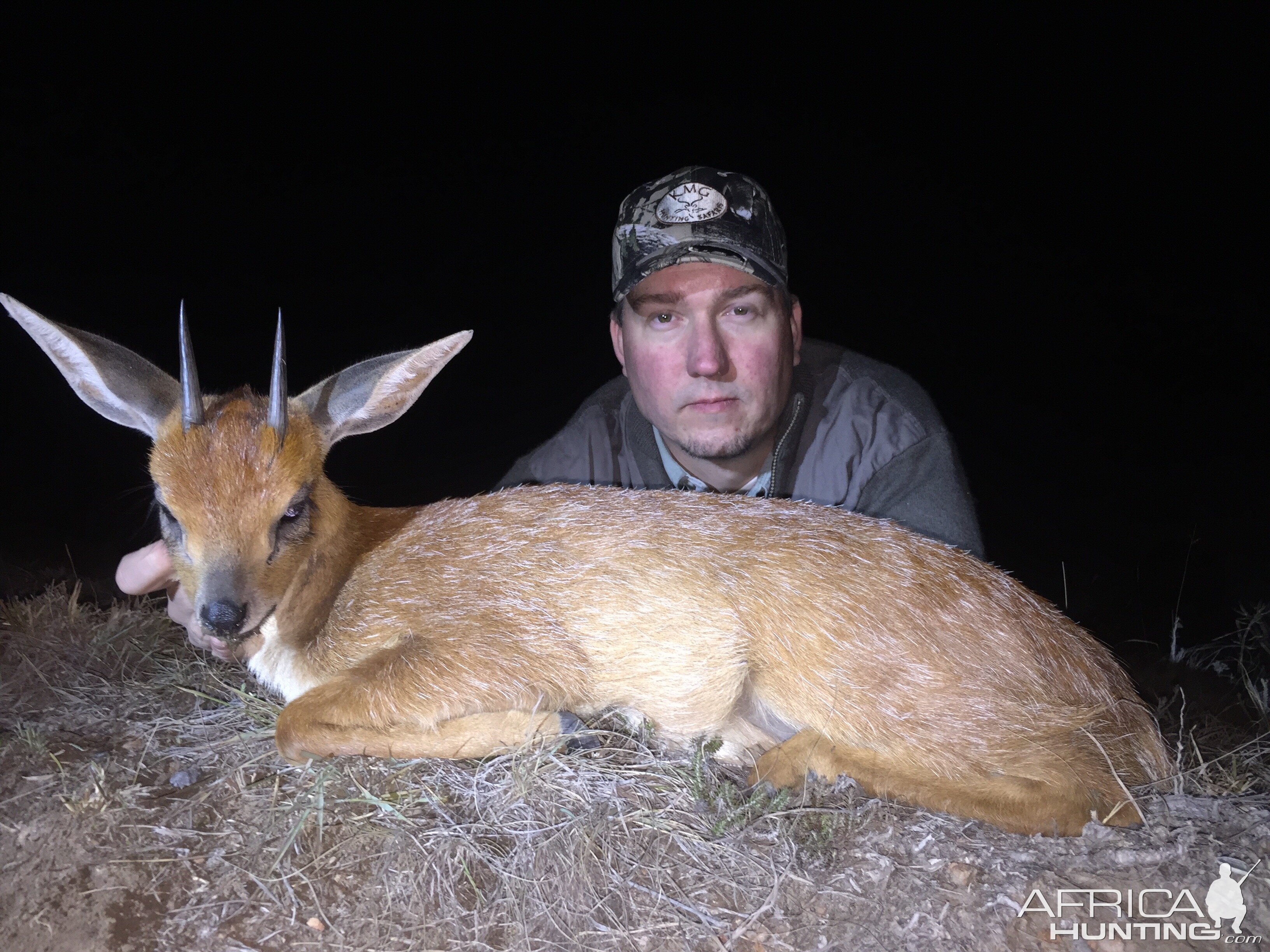 Hunt South Africa Cape Grysbok