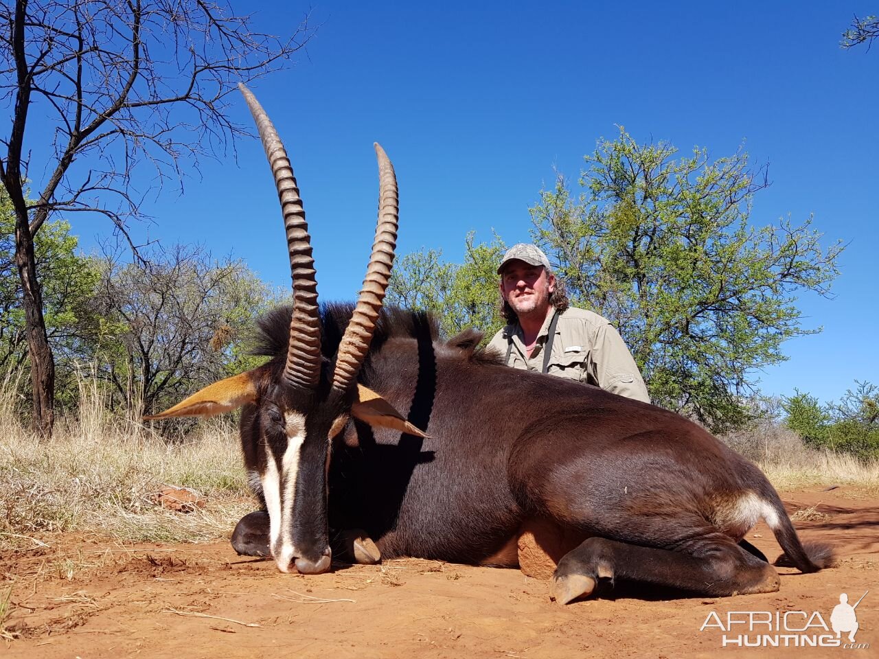 Hunt South Africa Sable Antelope