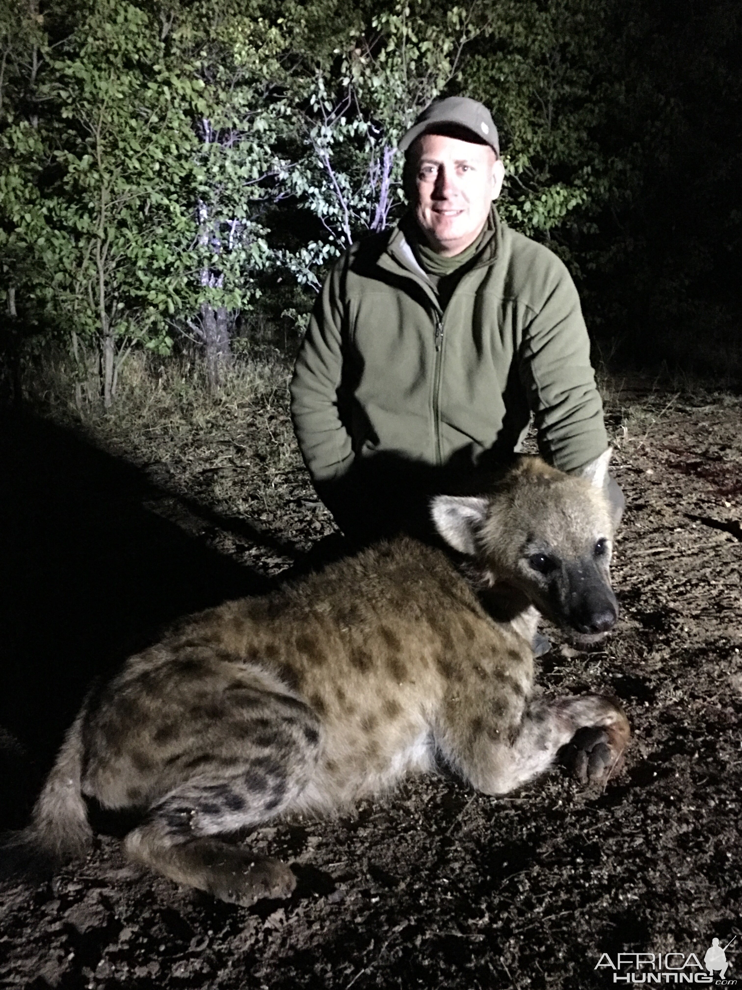 Hunt Spotted Hyena Zimbabwe